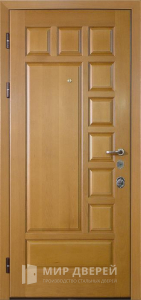 Дверь с порошком и МДФ панелью для дома №7 - фото №2
